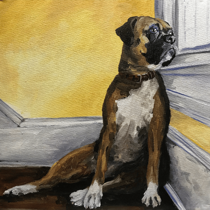 12x12 pet portrait