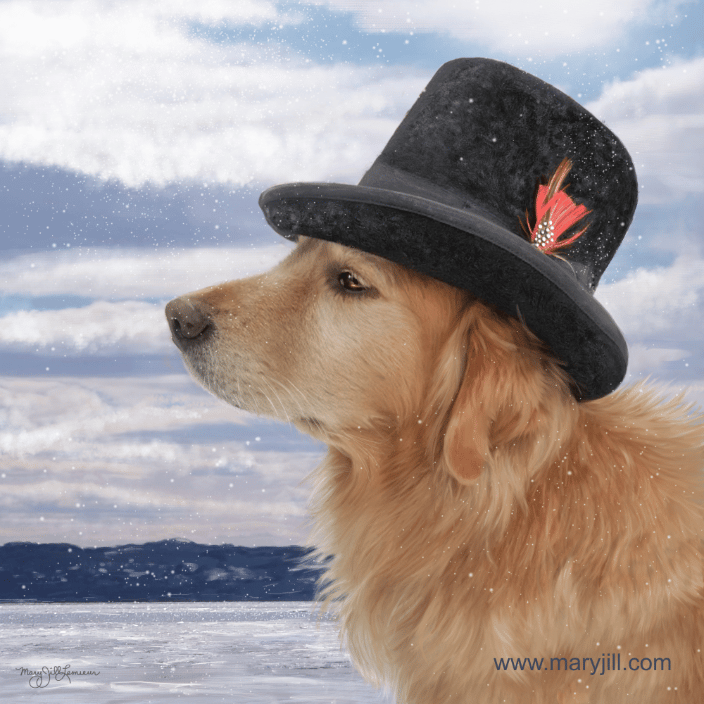 Portrait of a Golden (digital painting on canvas)