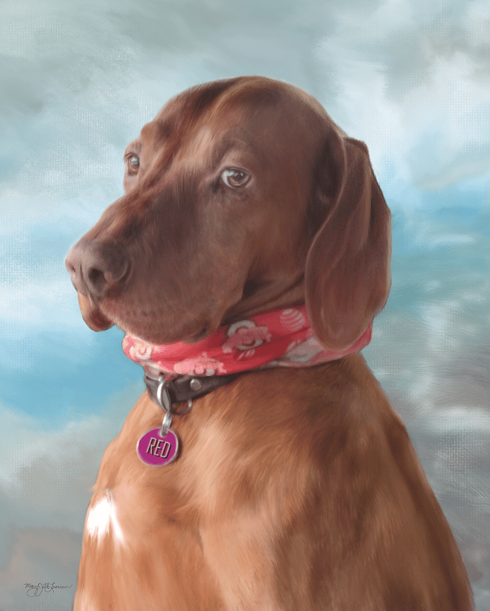 Red the Visla (digital portrait painting on paper)