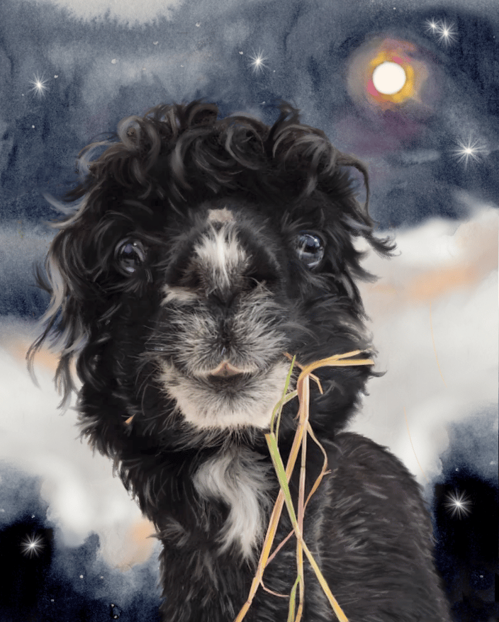 Portrait of Aussie (watercolor and digital on paper)