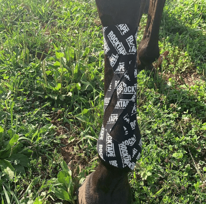 Kinesiology Taping