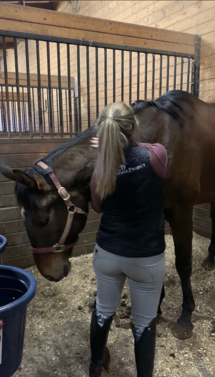 Massage Therapy 