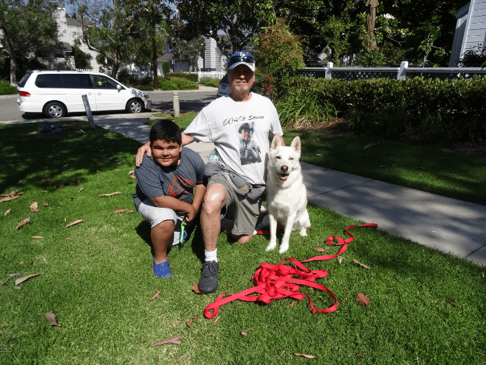 Working with special needs children for a Service Dog.