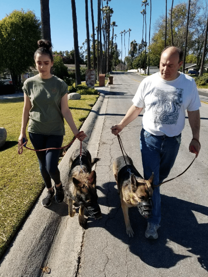 K-9 Aggression Rehab