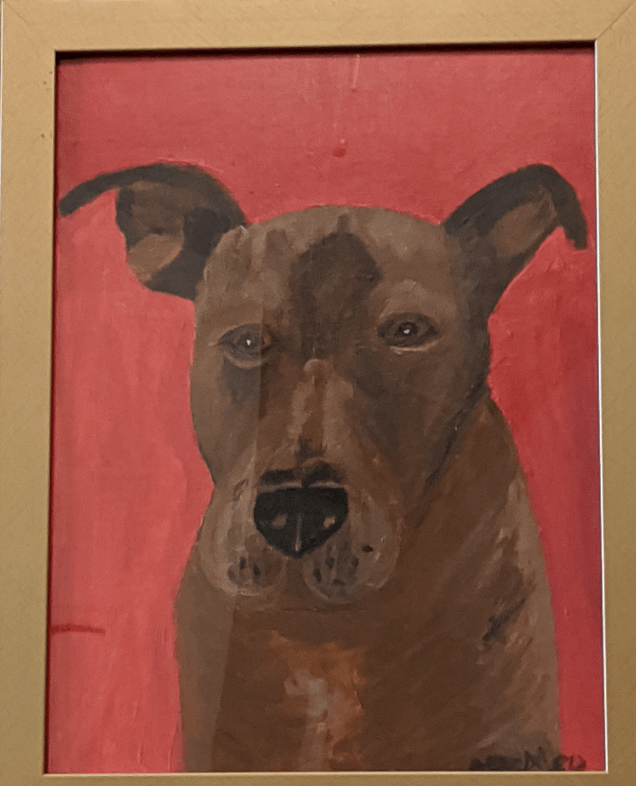 Pitbull Dog