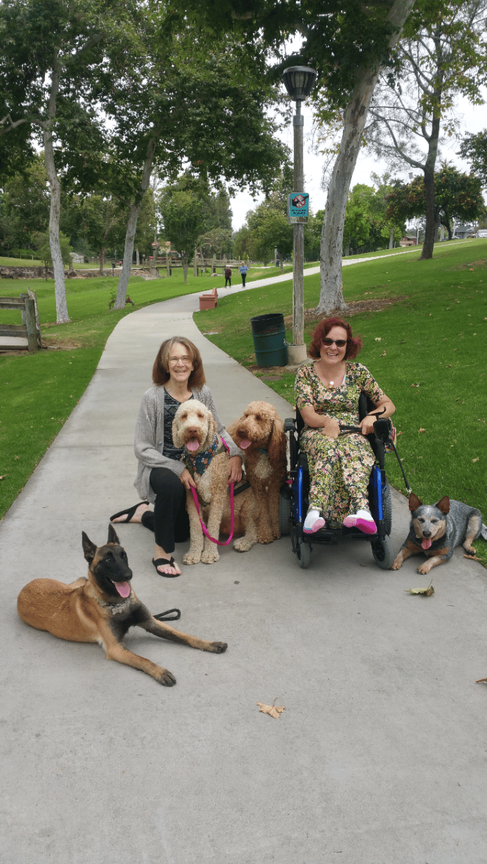 Service Dog Training