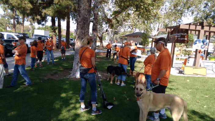 Helpng find homes for the German Shepherd Recue of OC