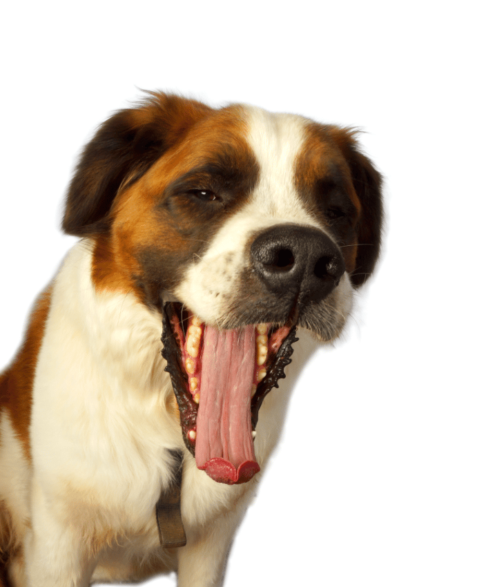 Theo open mouth
