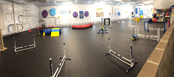 Agility