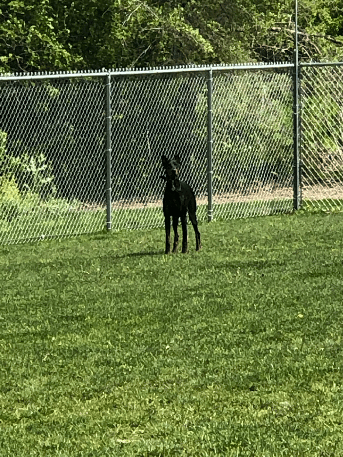 Outdoor training field
