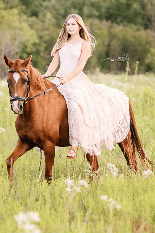 horse