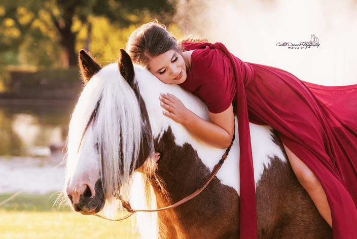 horse