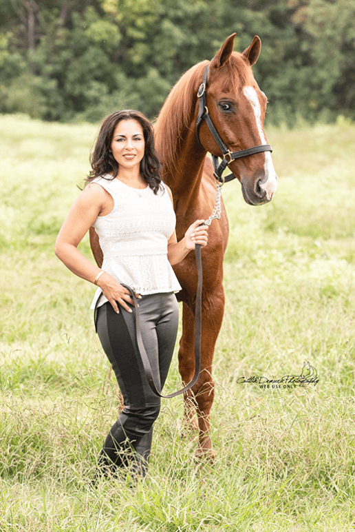 horse