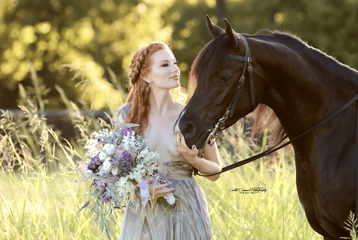 horse