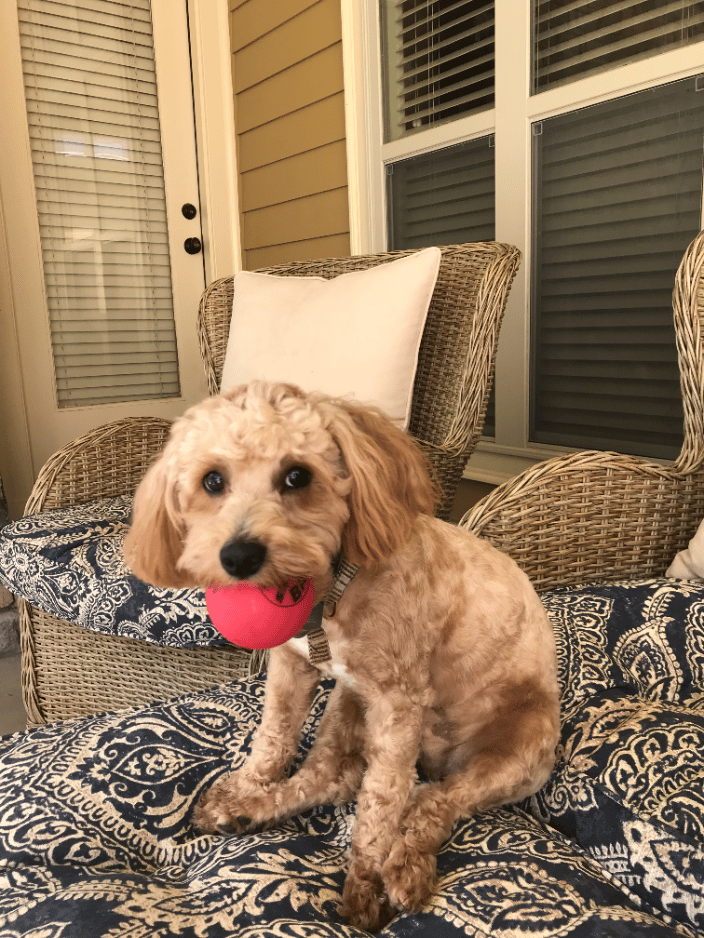 Playtime!
