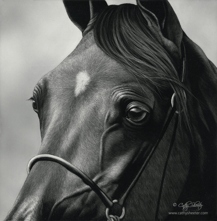 12"x12" portraiture of an Arabian Horse in Scratchboard - this is a drawing, not a photo!