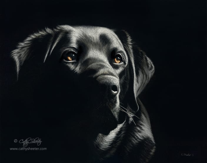 11"x14" Scratchboard Portrait if a Labrador Retriever - This is a drawing, NOT A PHOTO!