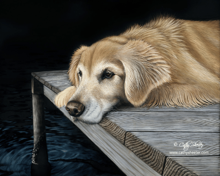 16"x20" Scratchboard and ink portrait of a Golden Retriever.  This is a drawing, NOT A PHOTO!