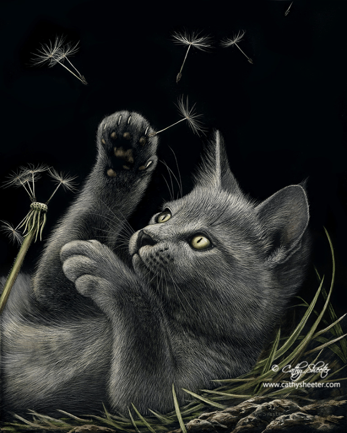 10"x8" scratchboard of a kitten.  This is a drawing.