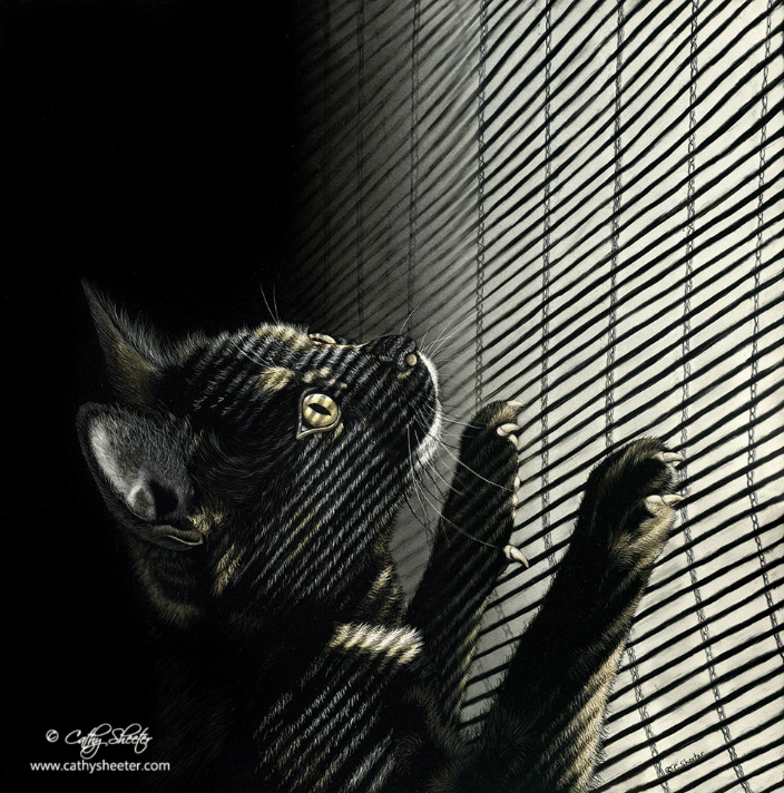 12"x12" Scratchboard drawing of a cat.  This is a drawing, not a photo!