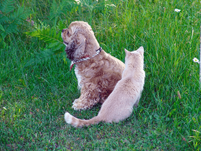 Friends