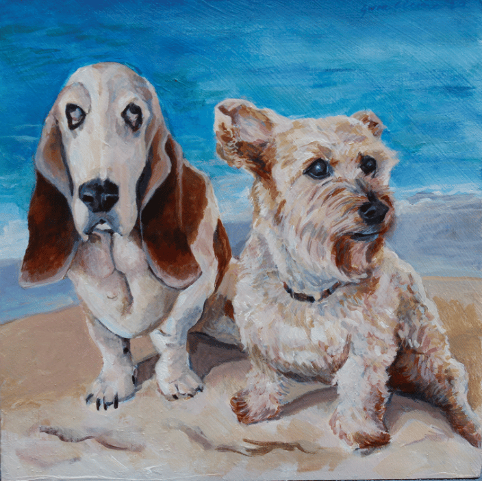 Basset Hound and Terrier mix at the beach