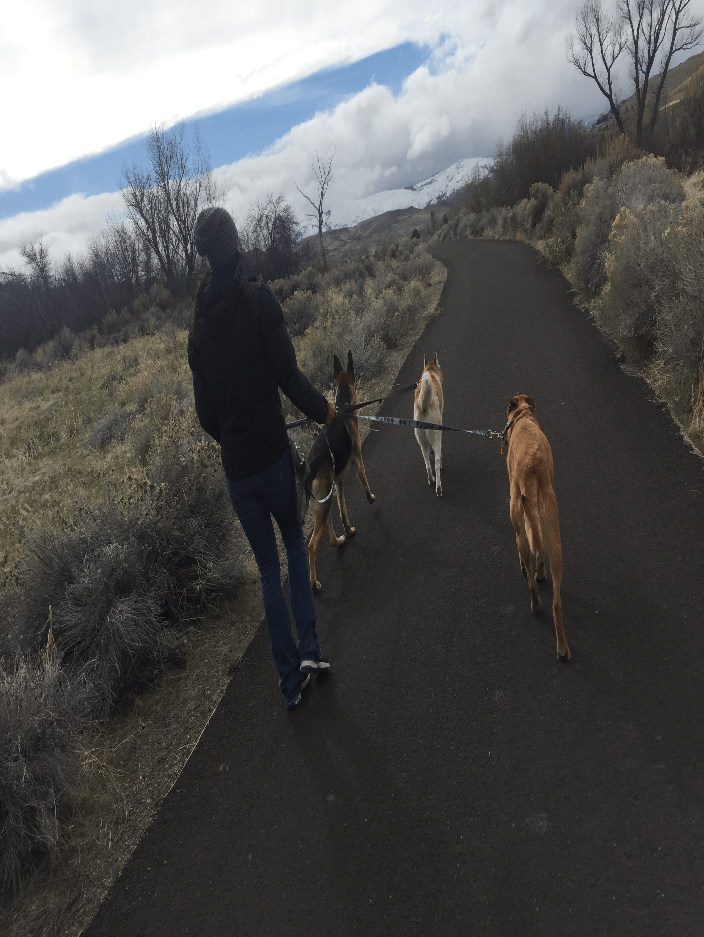 Walkies in Reno!