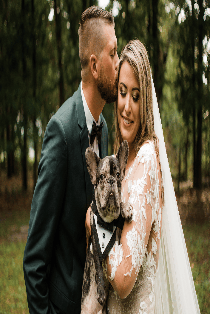 Frenchie in wedding