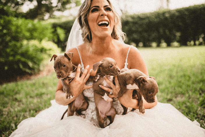 adoptable puppies at a wedding