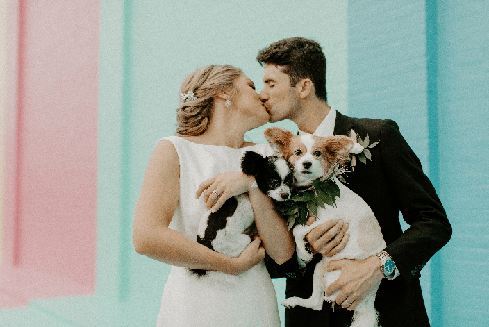 dogs of honor|Furry Ventures Pet Care