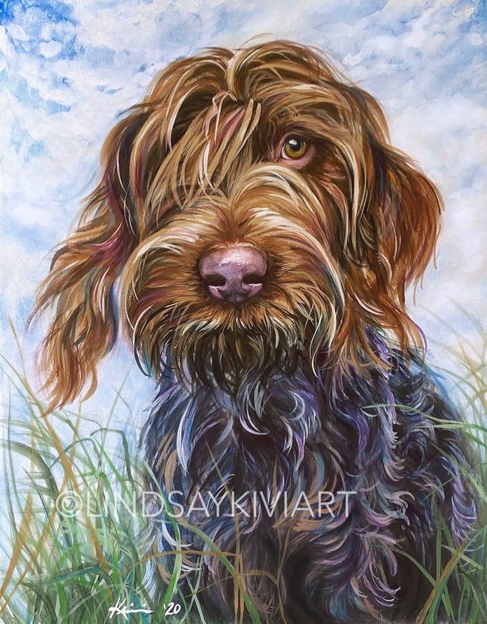 Wirehaired Pointing Griffon, Watercolor