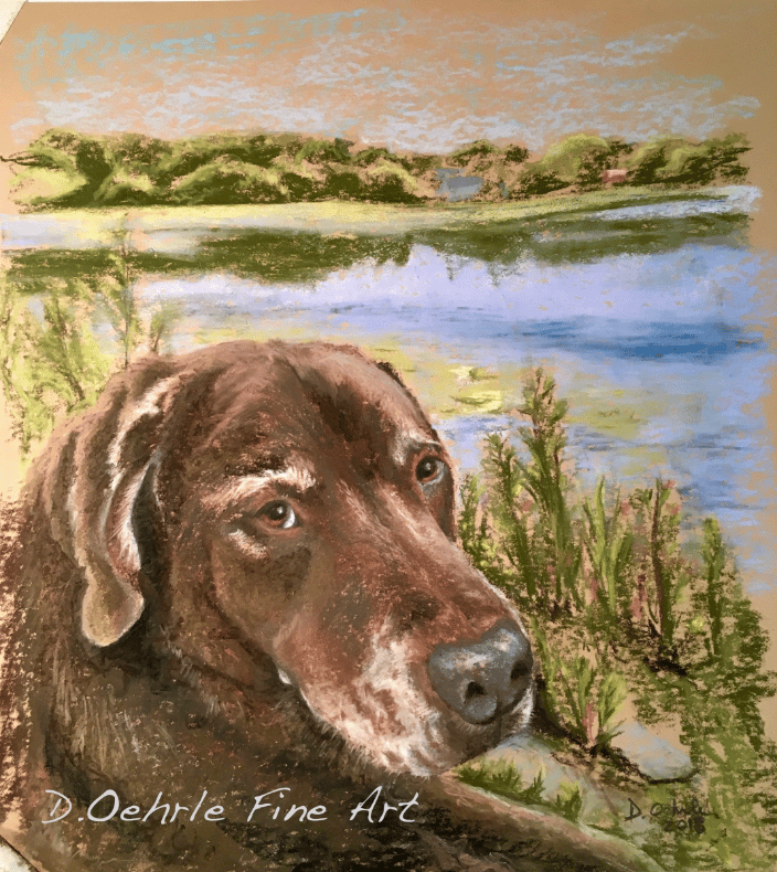Chocolate Lab in pastel