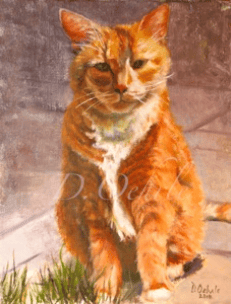 Tabby Cat in oil on Linen