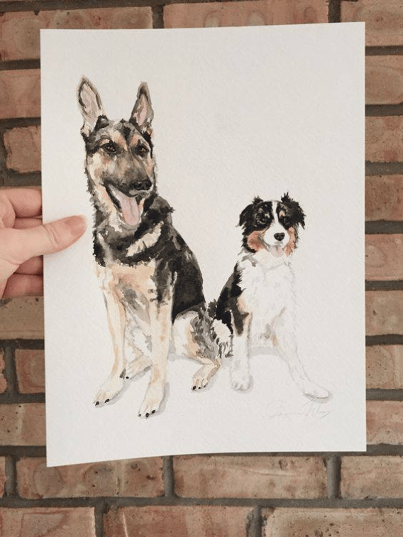 Dogs Pet Portrait