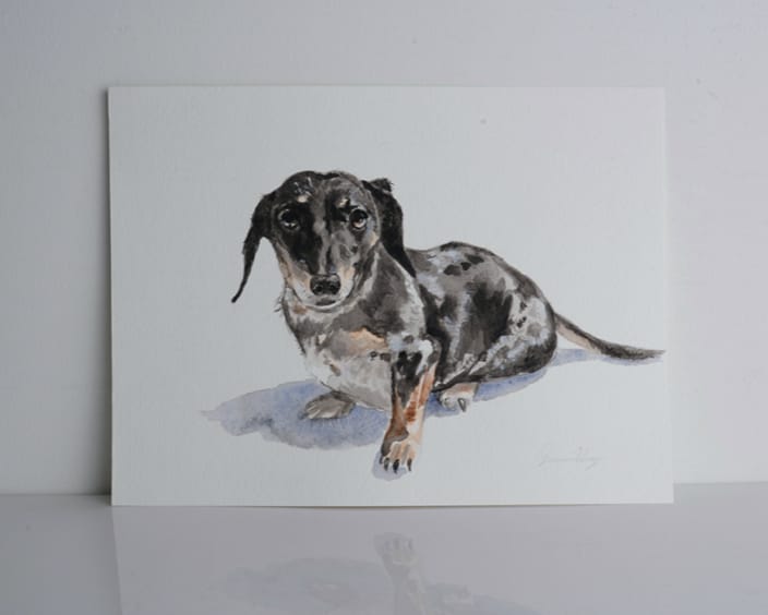 Wiener dog pet portrait painting