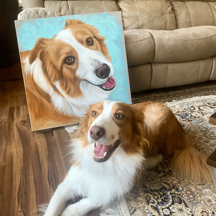Border Collie mix with painting