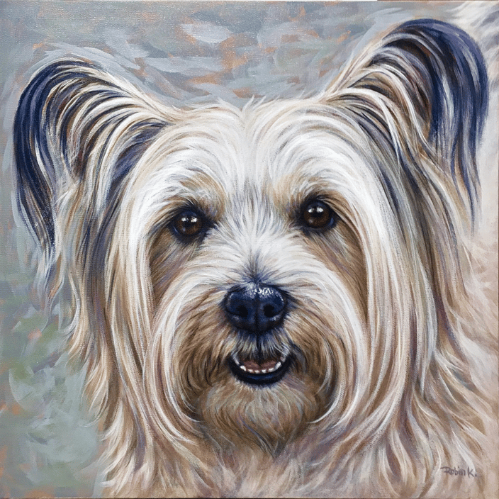 Cairn Terrier