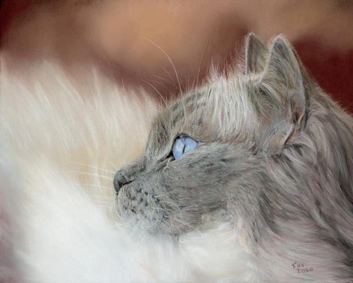 Pastel painting of a ragdoll cat