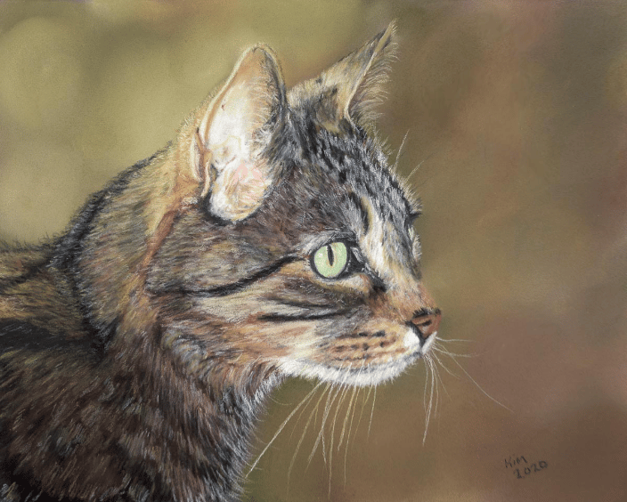 Pastel painting of a tabby cat