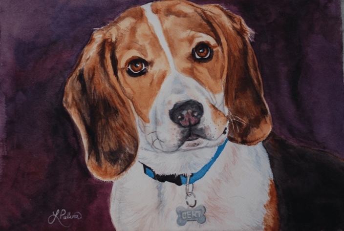 beagle