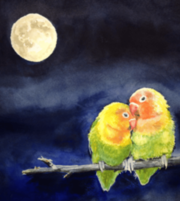 peach faced lovebirds