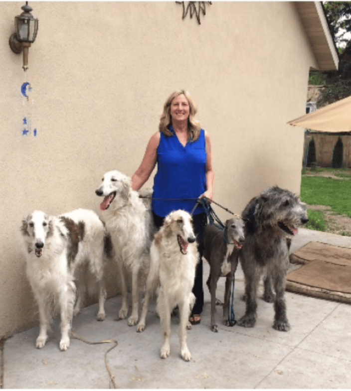 Rita and Sighthounds