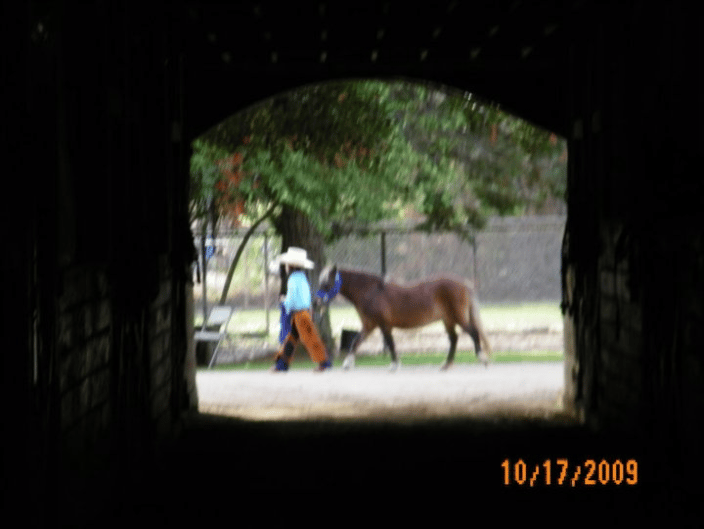 Grand-daughter & pony going by one of the aisles