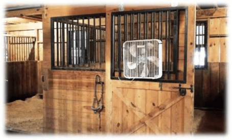 Inside Stalls 