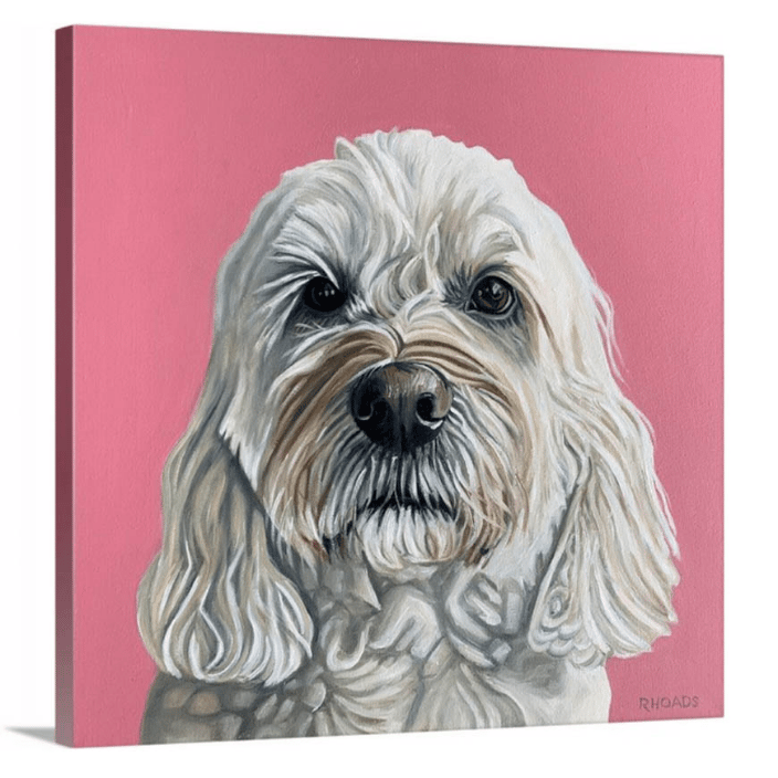 Roxy