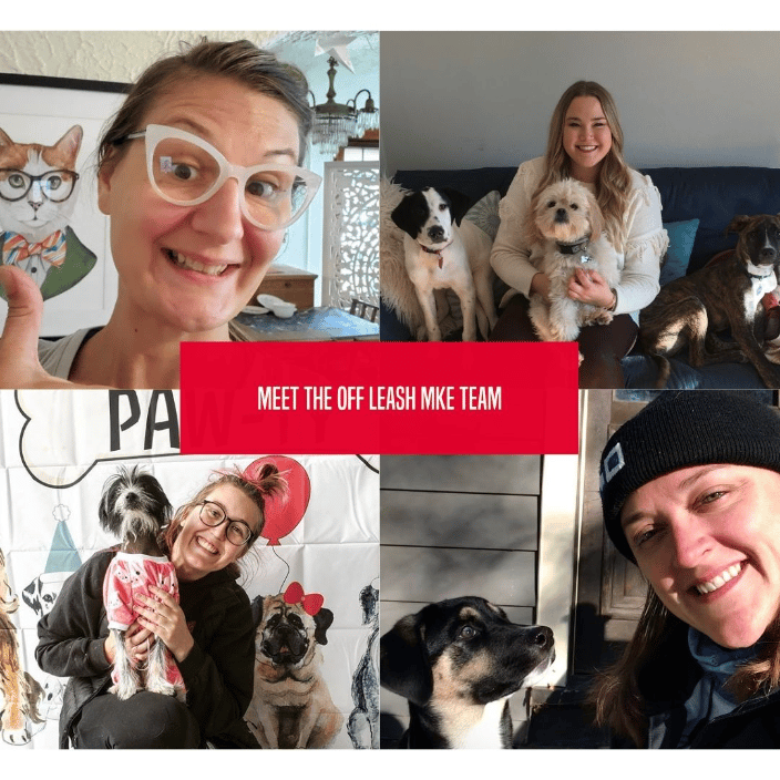 Meet the Off Leash MKE team!