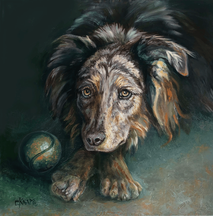 Australian Shepard oil painting 24" x24"