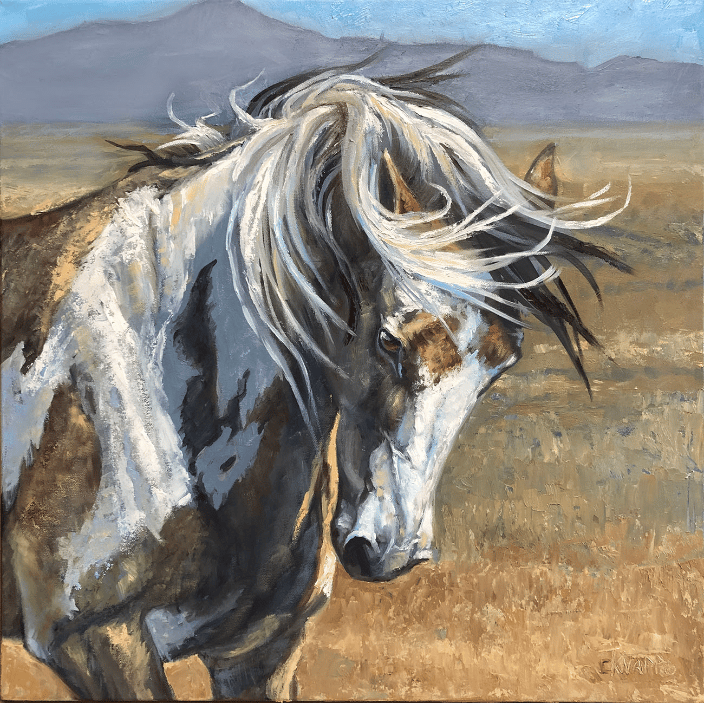 Wild Mustang oil painting 24" x 24"