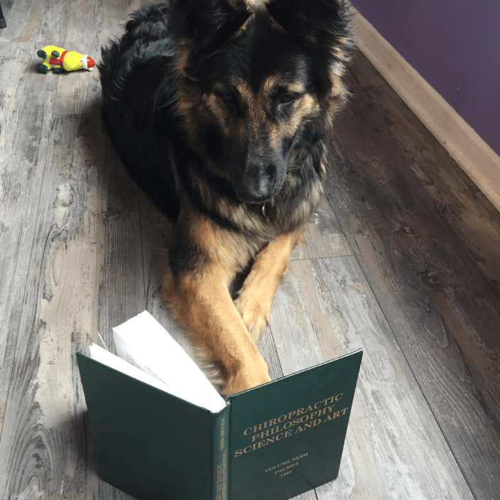My dog reading :)