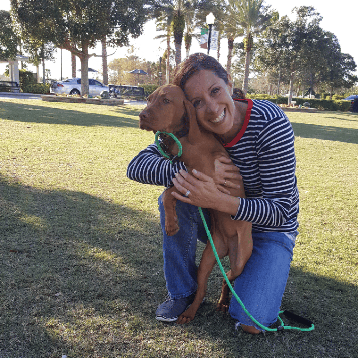 Well Behaved Dogs Are Easy To Love